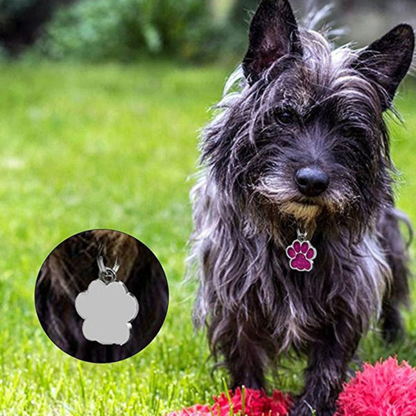 Personalized Engraving Paw Print Pet Dog Cat Name Tags Customized Dog ID Tag Collar Accessories Nameplate Anti-lost Pendant Metal Keyring